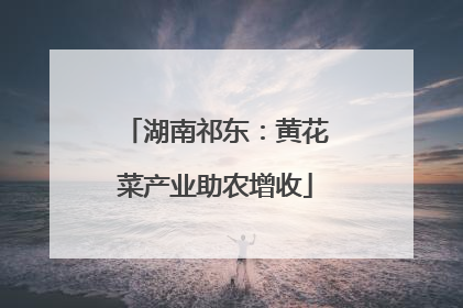湖南祁东：黄花菜产业助农增收