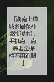 湖南上线城乡居保补缴新功能：手机点一点 养老金提档不用跑腿