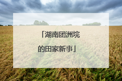 湖南团洲垸的田家新事