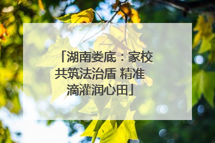 湖南娄底：家校共筑法治盾 精准滴灌润心田