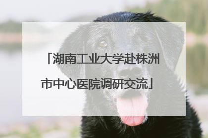 湖南工业大学赴株洲市中心医院调研交流