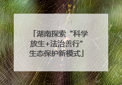 湖南探索“科学放生+法治善行”生态保护新模式