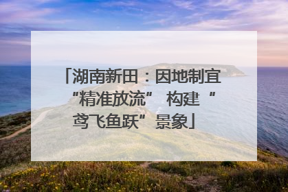 湖南新田：因地制宜“精准放流” 构建“鸢飞鱼跃”景象