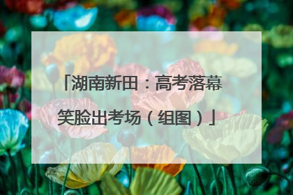 湖南新田：高考落幕 笑脸出考场（组图）