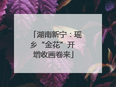 湖南新宁：瑶乡“金花”开 增收画卷来