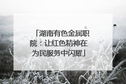 湖南有色金属职院：让红色精神在为民服务中闪耀