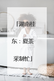 湖南桂东：夏茶采制忙