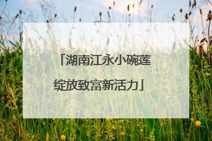 湖南江永小碗莲绽放致富新活力