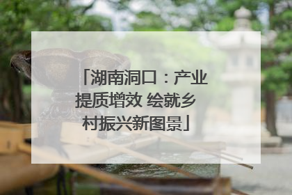湖南洞口：产业提质增效 绘就乡村振兴新图景