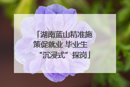湖南蓝山精准施策促就业 毕业生“沉浸式”探岗