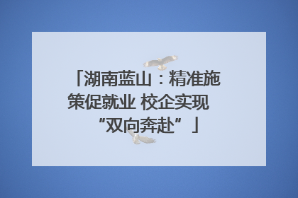 湖南蓝山：精准施策促就业 校企实现“双向奔赴”