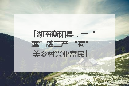 湖南衡阳县：一“莲”融三产 “荷”美乡村兴业富民