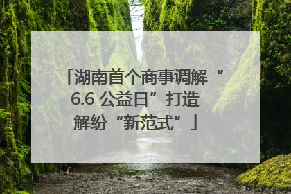 湖南首个商事调解“6.6 公益日”打造解纷“新范式”