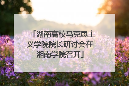湖南高校马克思主义学院院长研讨会在湘南学院召开