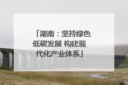湖南：坚持绿色低碳发展 构建现代化产业体系
