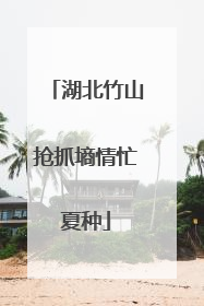 湖北竹山抢抓墒情忙夏种