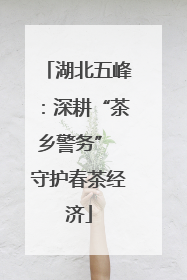 湖北五峰：深耕“茶乡警务” 守护春茶经济