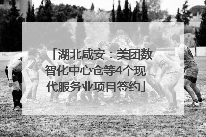 湖北咸安：美团数智化中心仓等4个现代服务业项目签约