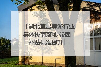 湖北宜昌导游行业集体协商落地 带团补贴标准提升
