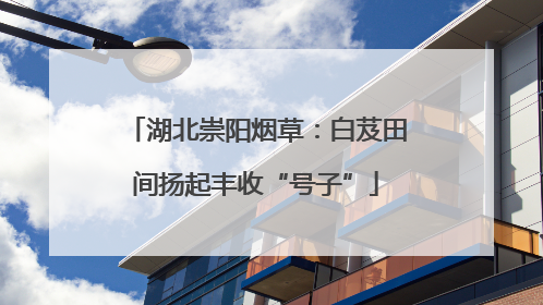 湖北崇阳烟草：白芨田间扬起丰收“号子”