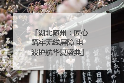 湖北随州：匠心筑牢无线屏障 电波护航华夏盛典