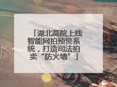 湖北高院上线智能网拍预警系统，打造司法拍卖“防火墙”