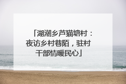 湖潮乡芦猫塘村：夜访乡村巷陌，驻村干部情暖民心