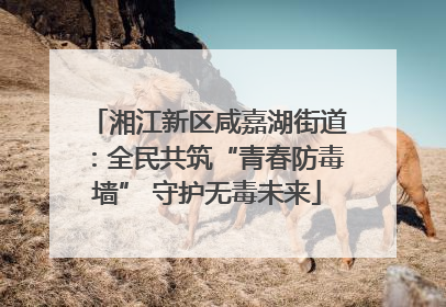 湘江新区咸嘉湖街道：全民共筑“青春防毒墙” 守护无毒未来