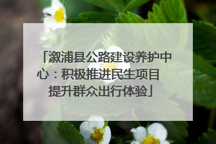 溆浦县公路建设养护中心：积极推进民生项目 提升群众出行体验