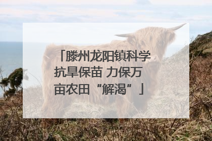 滕州龙阳镇科学抗旱保苗 力保万亩农田“解渴”