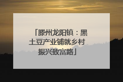 滕州龙阳镇：黑土豆产业铺就乡村振兴致富路