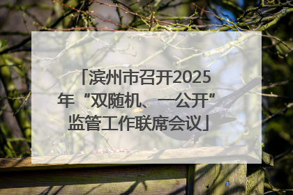 滨州市召开2025年“双随机、一公开” 监管工作联席会议