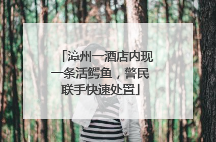 漳州一酒店内现一条活鳄鱼，警民联手快速处置