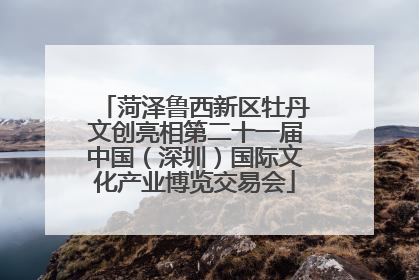 菏泽鲁西新区牡丹文创亮相第二十一届中国（深圳）国际文化产业博览交易会