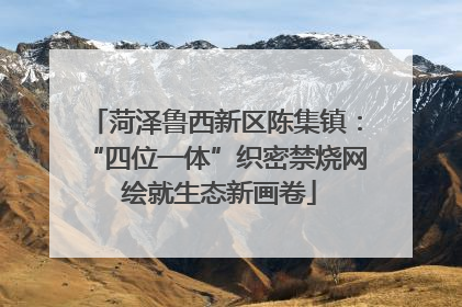 菏泽鲁西新区陈集镇：“四位一体”织密禁烧网 绘就生态新画卷