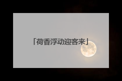 荷香浮动迎客来