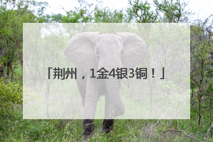 荆州，1金4银3铜！