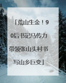 荒山生金！90后书记马传力带领张山头村书写山乡巨变