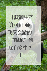 获颁生产许可证 会飞又会游的“鲲龙”到底有多牛？