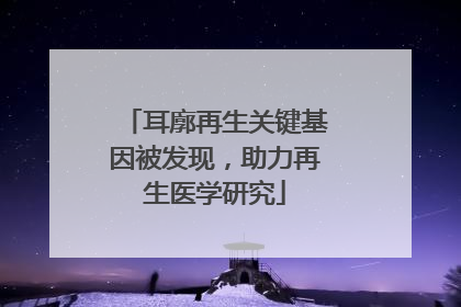 耳廓再生关键基因被发现，助力再生医学研究