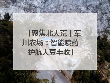 聚焦北大荒｜军川农场：智能喷药护航大豆丰收