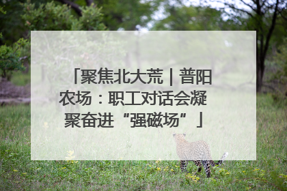 聚焦北大荒｜普阳农场：职工对话会凝聚奋进“强磁场”