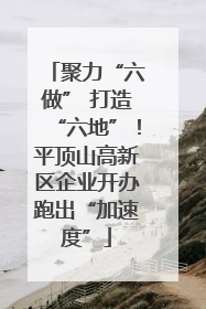 聚力“六做” 打造“六地”！平顶山高新区企业开办跑出“加速度”