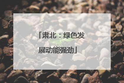 肃北：绿色发展动能强劲