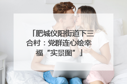 肥城仪阳街道下三合村：党群连心绘幸福“实景图”