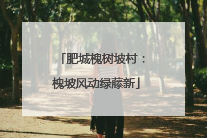 肥城槐树坡村：槐坡风动绿藤新