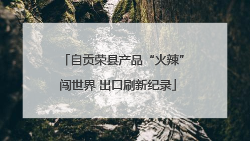 自贡荣县产品“火辣”闯世界 出口刷新纪录