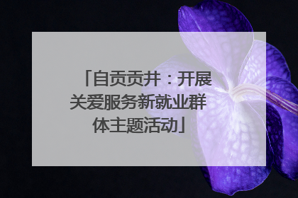 自贡贡井：开展关爱服务新就业群体主题活动