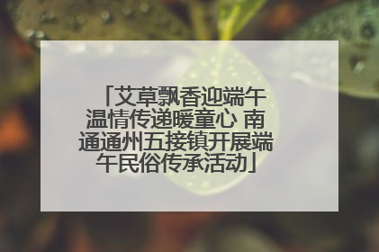 艾草飘香迎端午 温情传递暖童心 南通通州五接镇开展端午民俗传承活动