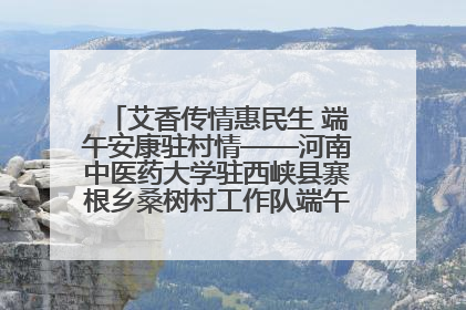 艾香传情惠民生 端午安康驻村情——河南中医药大学驻西峡县寨根乡桑树村工作队端午中医惠民记